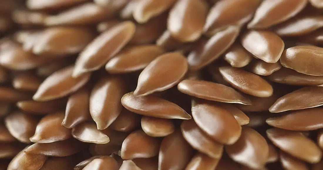 Flaxseeds: A Superfood You Need in Your Diet